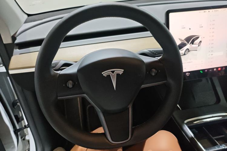 Used Tesla Model Y 2022 Revised Version Long-Range All-Wheel Drive
