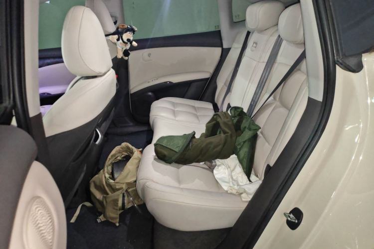 Used IM LS6 2023 Max Long-Range Version