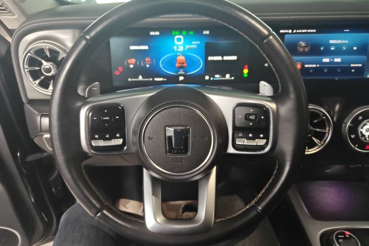 Used Tank 300 2021 City Edition 2.0T—Truly Stylish