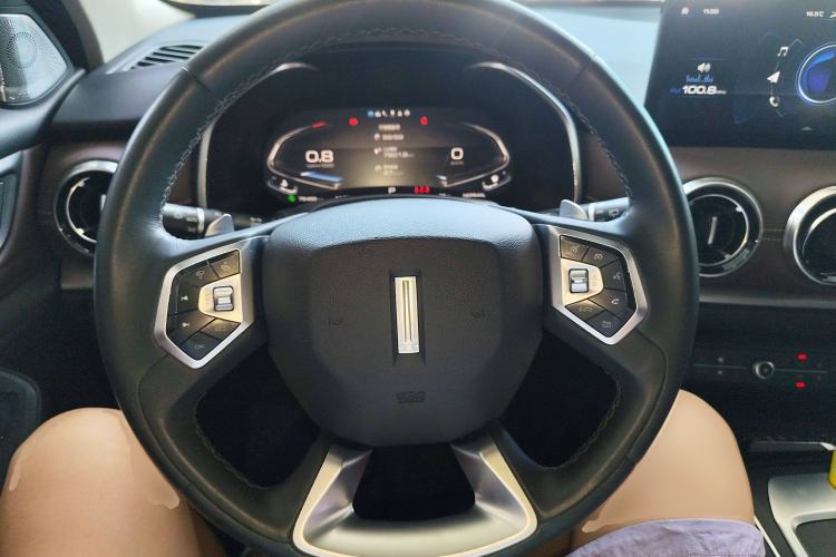 Used Wey VV6 2021 2.0T Two-Wheel Drive Smart Plus