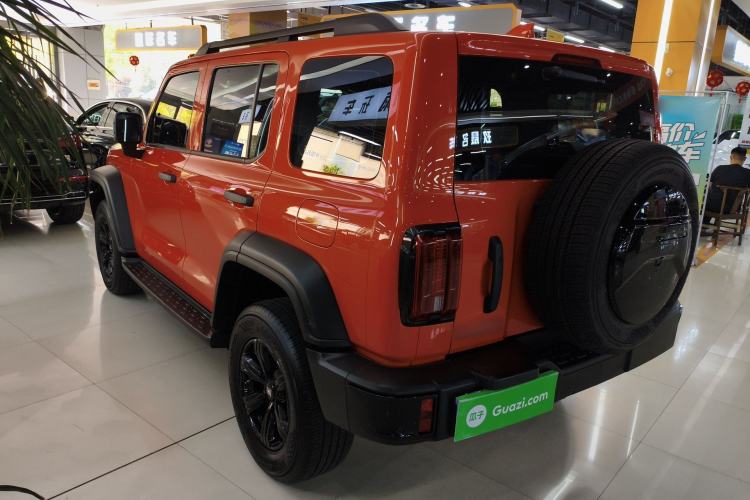 Used Tank 300 2024 2.0T Conqueror
