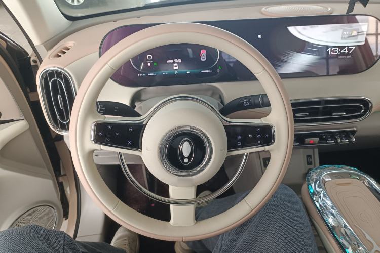 Used ORA Ballet Cat 2022 401 km Nutcracker Edition
