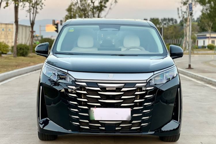 Used BYD Xia 2025 DM-i 1.5T 100km Leading Model