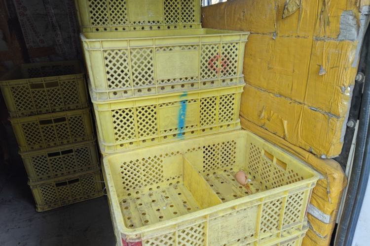 Used Iveco Daily 2020 2.8T V35 Box Truck with Dual Tires Mid-Roof Design 3 Seats Emission Standard China V