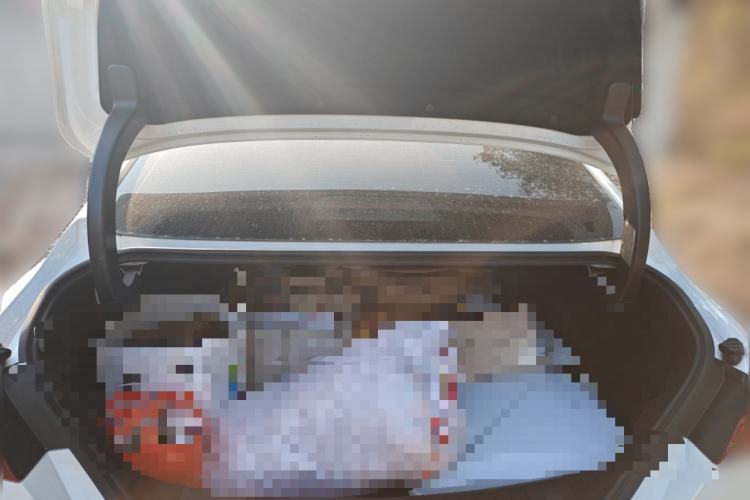 Used Geely Auto Binray 2019 200T DCT Binzhi Edition