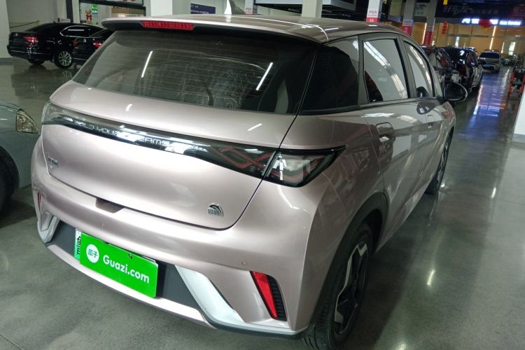 Used BYD Dolphin 2021 405 km Fashion Edition Rear Right 45 Deg