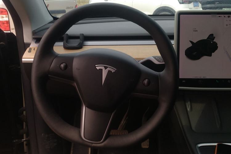 Used Tesla Model Y 2021 Long-Range All-Wheel-Drive Version