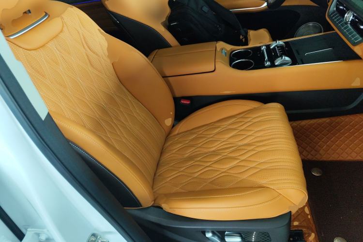 Used Tank 500 New Energy 2026 Model—Hi4-Z Smart Enjoyment Version Right Front Seat