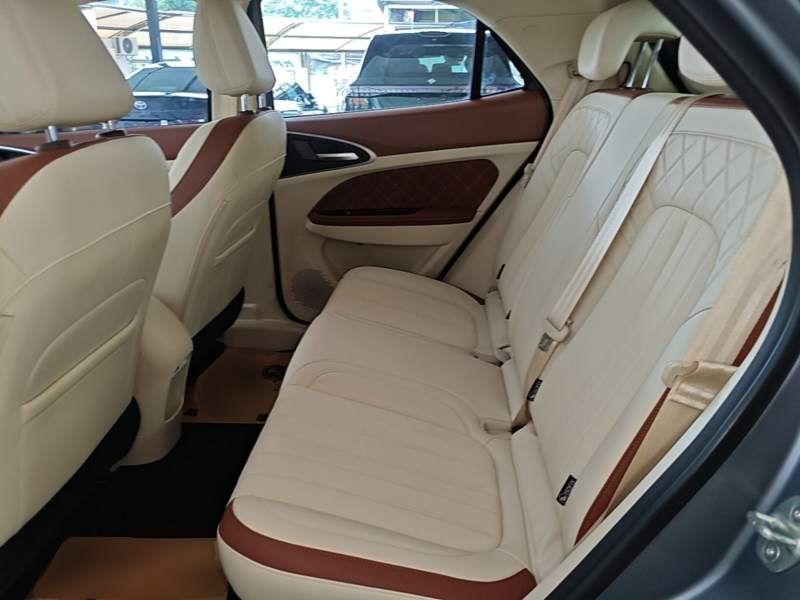 Used ORA Good Cat 2025 Model, 430 km Prestige Version — 16