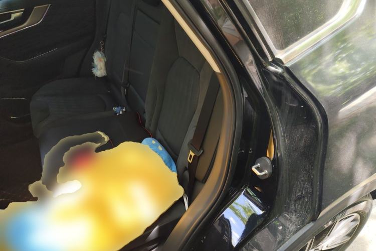 Used Hongqi HS5 2022 Facelifted Version 2.0T Smart Connect Flagship All-Wheel-Drive Edition
