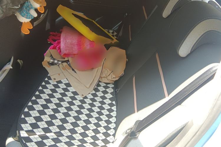 Used SOL E10X 2021 302 km Range Luxury Version 31.4 kWh
