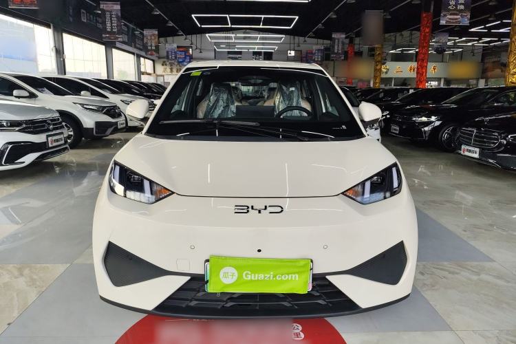 Used BYD Seagull 2025 Smart Drive Version 305 km Freedom Edition Front