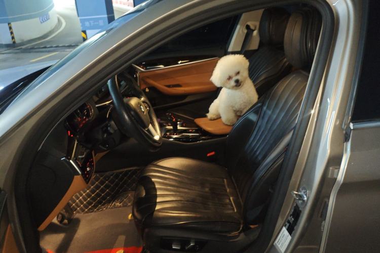 Used BMW 5 Series 2018 528Li Launch Special Edition Left Front Seat