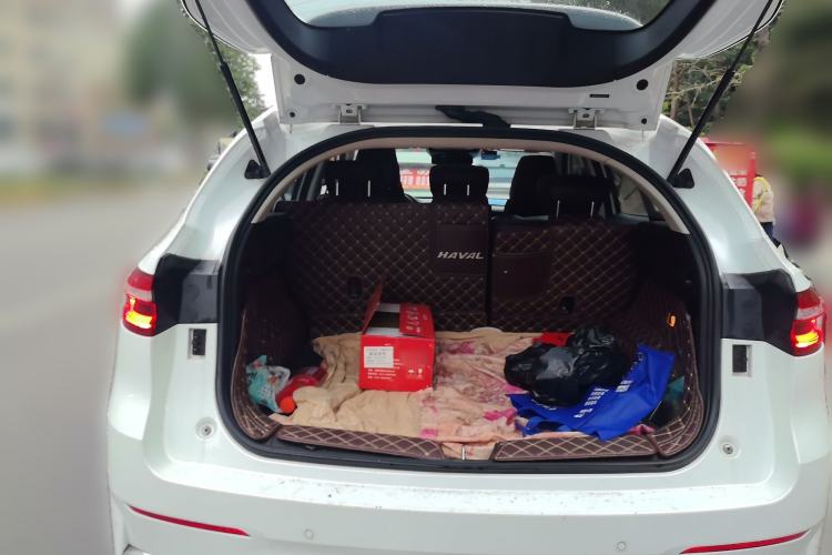 Used Haval F7 2020 2.0T Two-Wheel Drive i-Van
