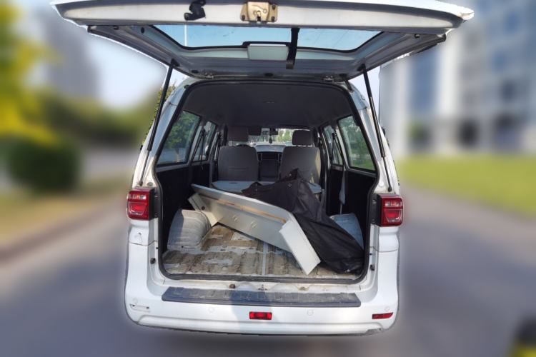 Used FORTHING Lingzhi 