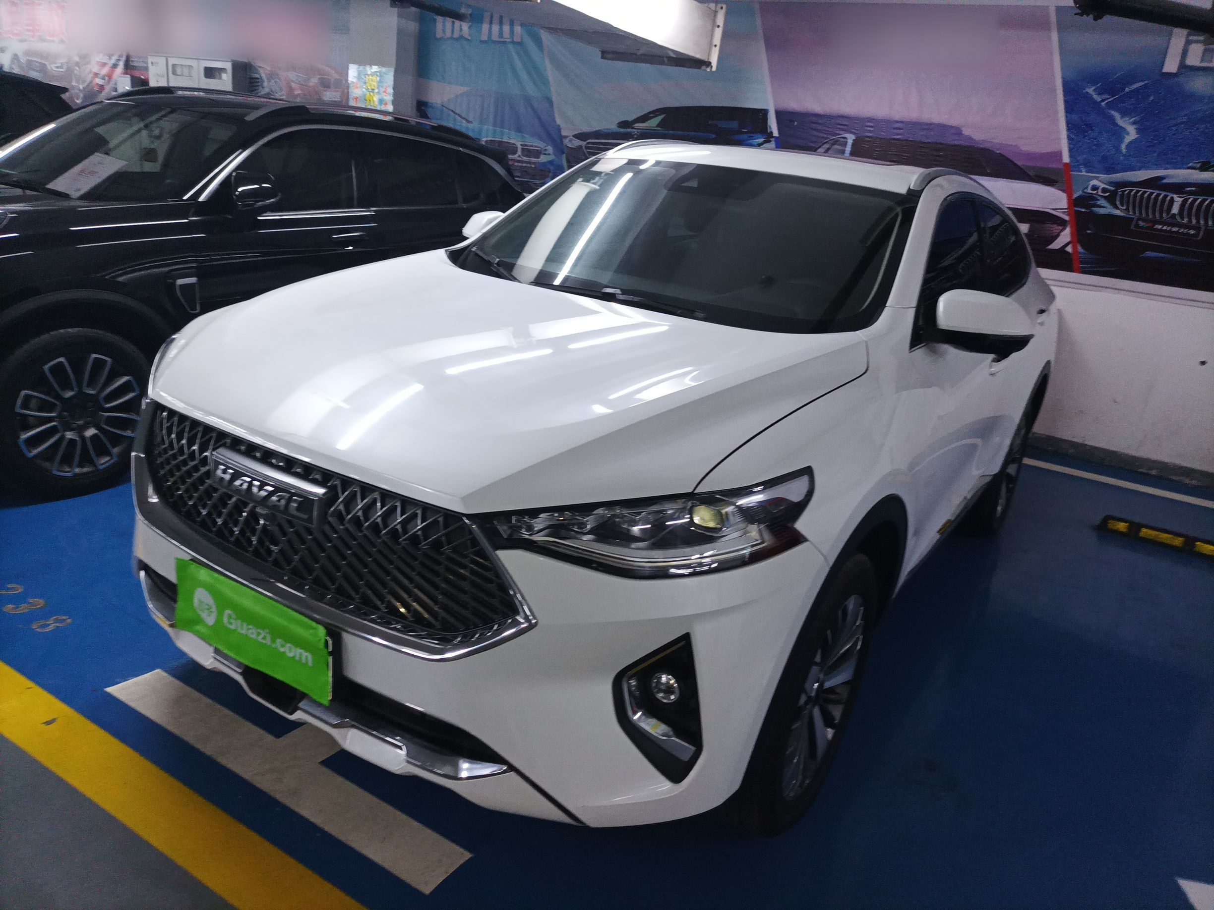 Parte inferior delantera