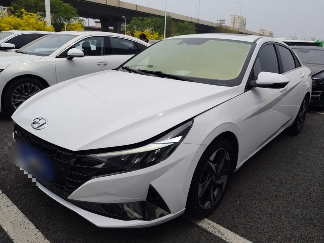 تحت مقدمة السيارة