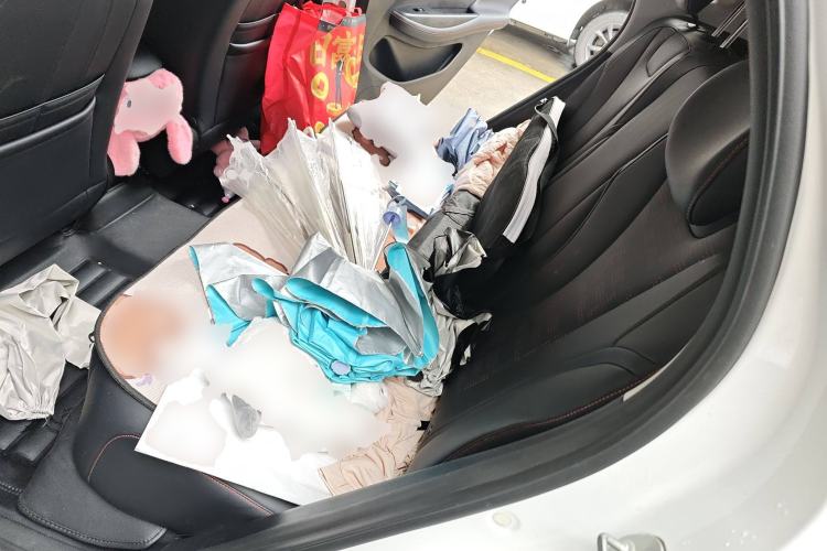 Used BYD e2 2023 Luxury Model