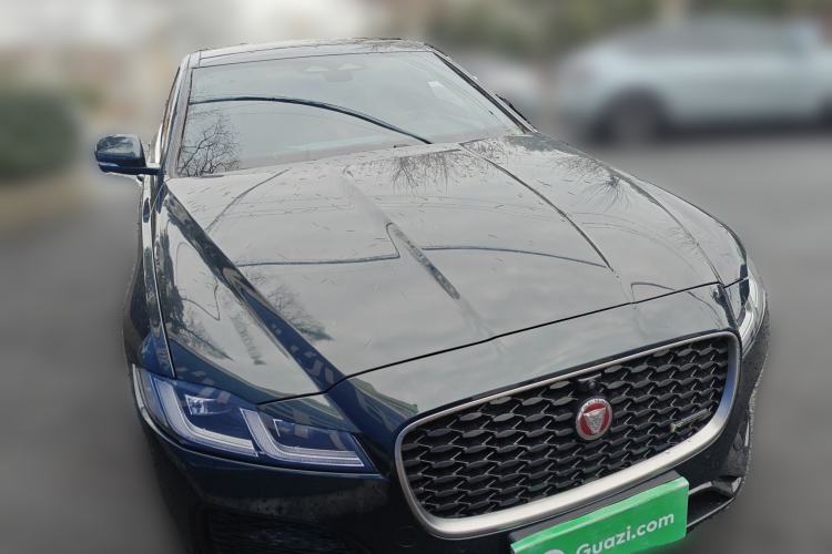 Used Jaguar XFL 2023 XFL 2.0T P250 Two-Wheel-Drive Elite Sport Edition