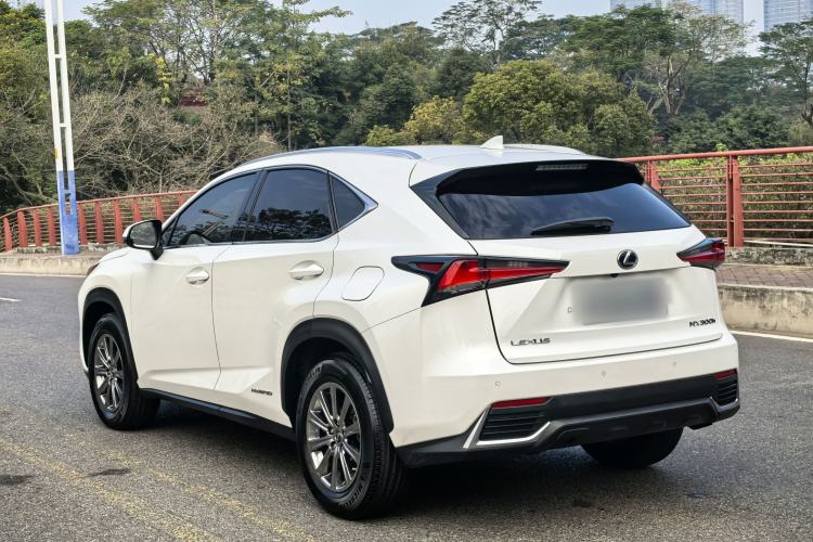 Used Lexus NX 2020 300h Front-Drive FENGSHANG Version China VI Standard Exterior 6