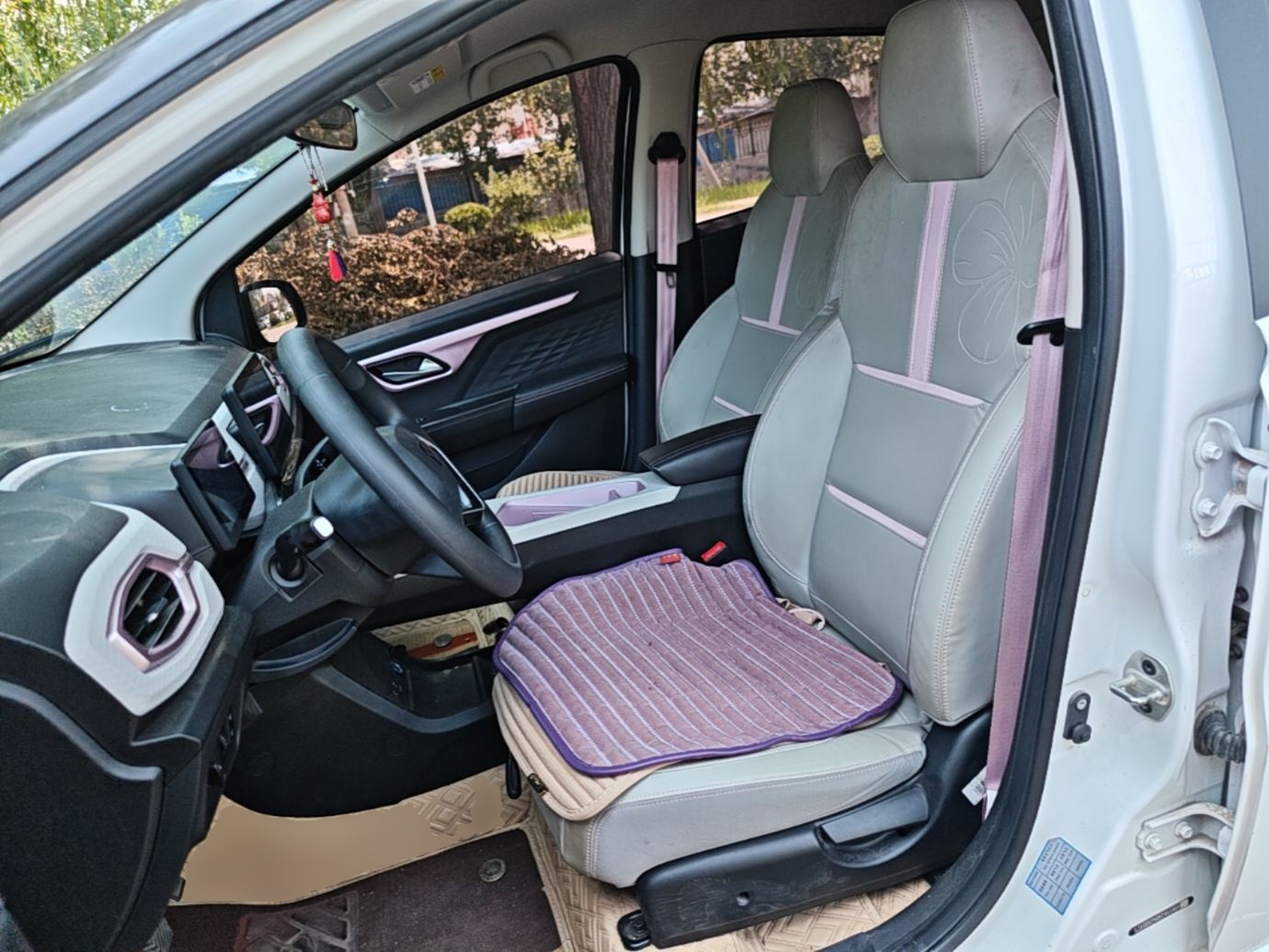Interior delantero