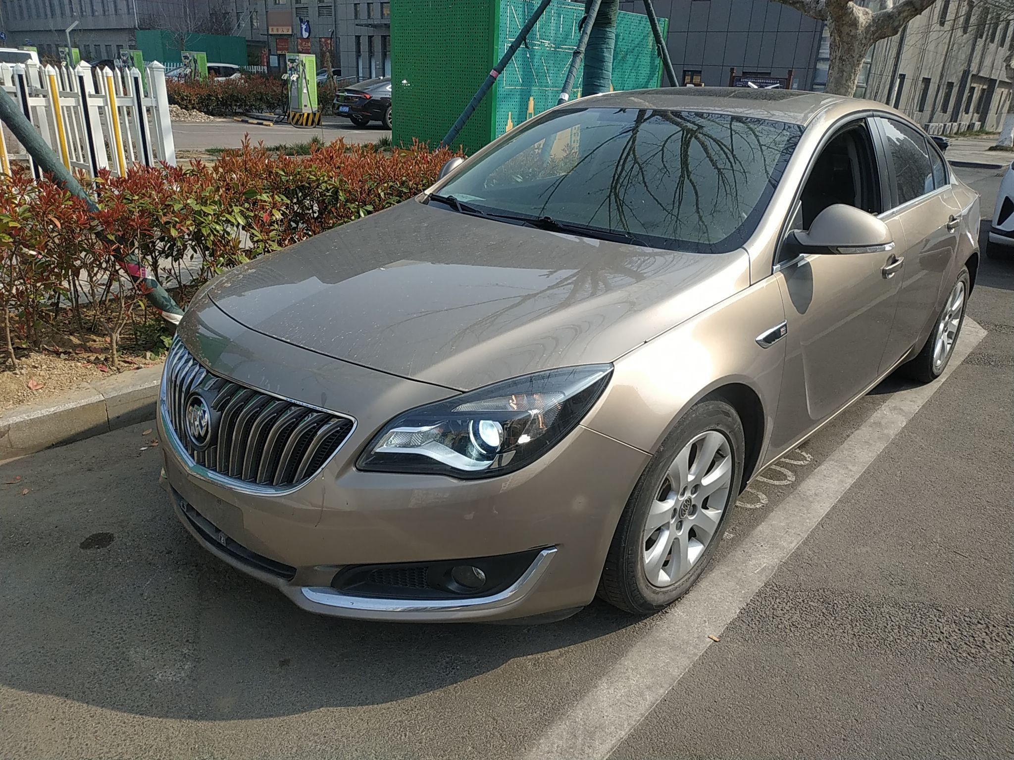 Parte inferior delantera