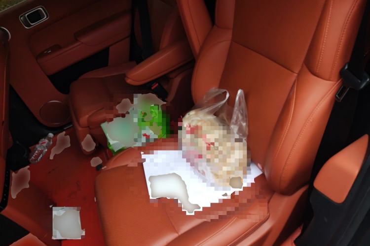 Used Li Auto L9 2023 Pro Model
