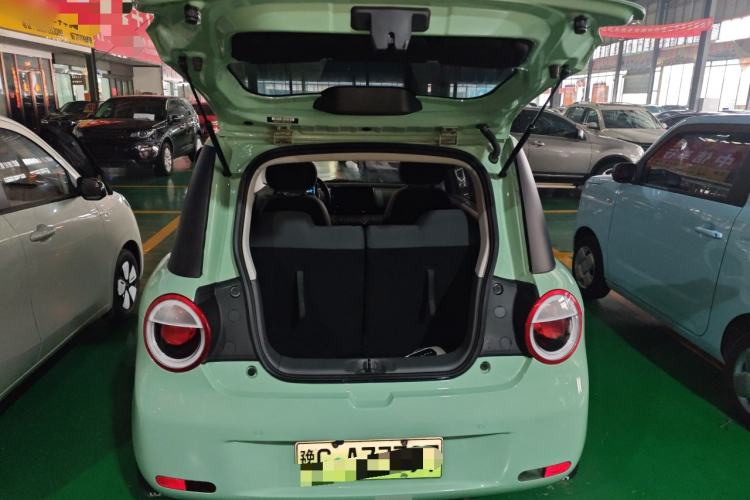 Used Qiyuan Lumin 2023 205km Xiangqin Version