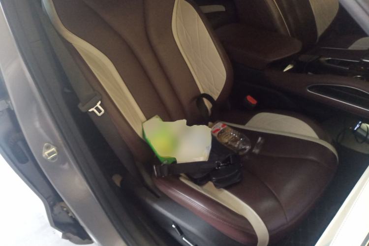 Used Geely Auto Monjaro L 2021 2.0TD DCT EVO Two-Wheel Drive Prestige Version
