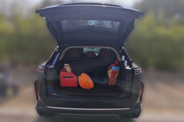 Used EXEED Stellar 2023 400T Four-Wheel Drive Enjoying the Flying Fish Edition
