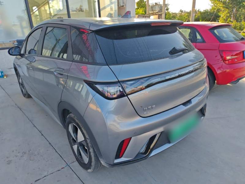 Used BYD Dolphin 2023 420 km Fashion Edition — 4