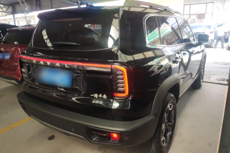 Used Haval DARGO 2024 2.0T DCT Chinese Rural Dog Edition
