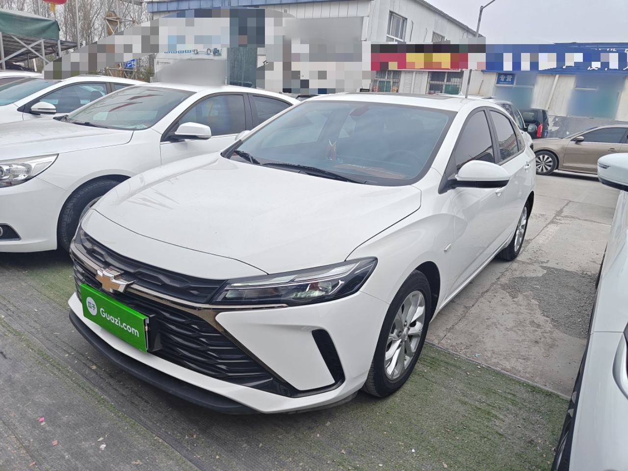 Parte inferior delantera