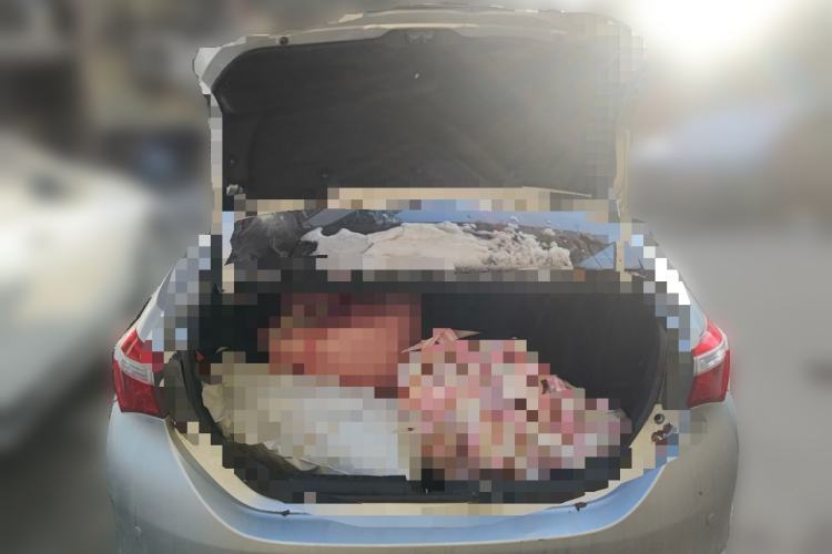 Used Toyota Corolla 2014 1.6L CVT GL
