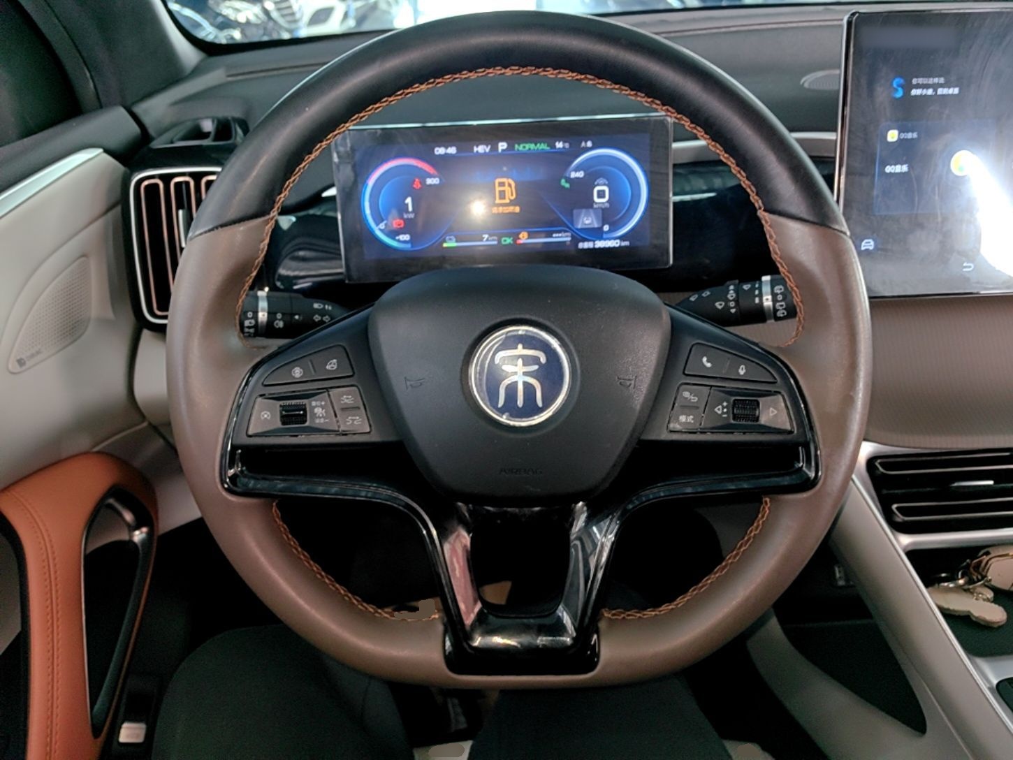 BYD Song Pro New Energy 2022 DM-i 51km Prestige Model - Executive — снимка 13