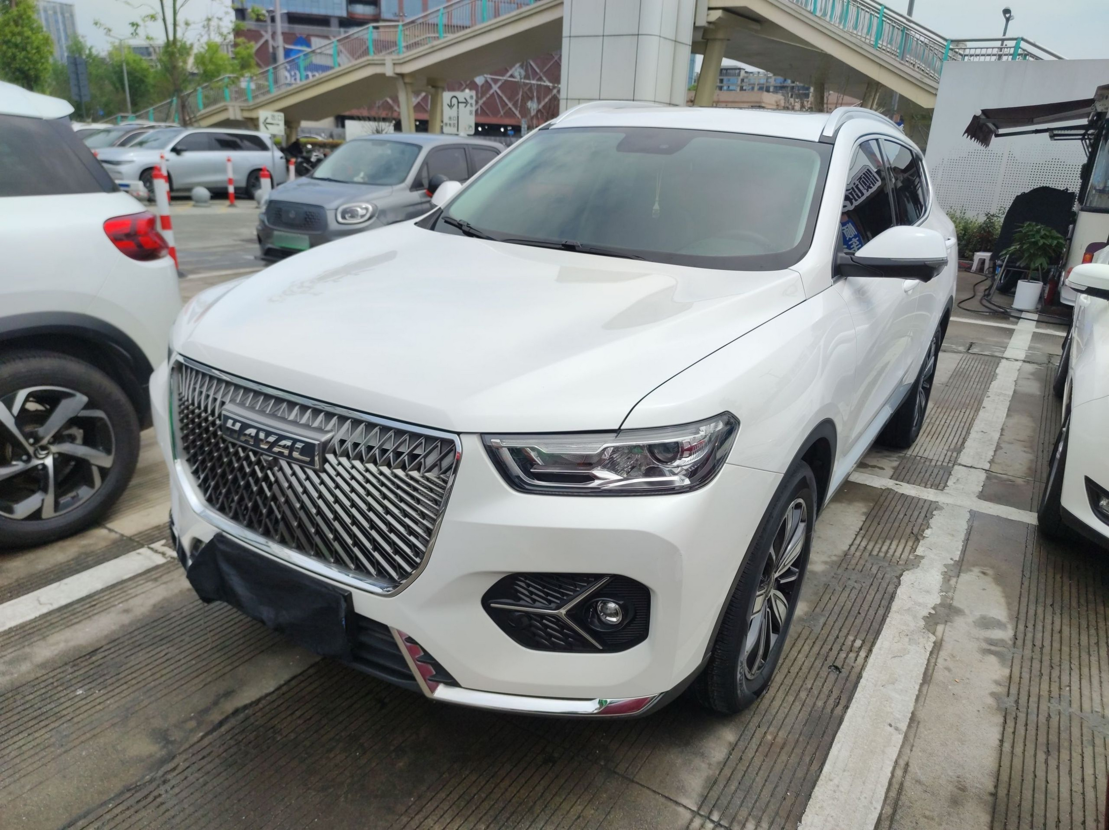 Parte inferior delantera