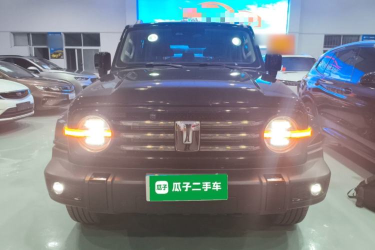 Used Tank 300 2024 2.0T Crosser
