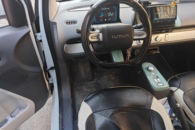 Used Qiyuan Lumin 2023 205km Xiangqin Version
