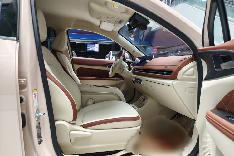 Used ORA Good Cat 2023 401 km Standard Range Luxury Version Lithium Iron Phosphate
