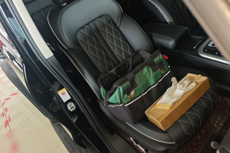 Used Tank 300 2024 2.0T Challenger
