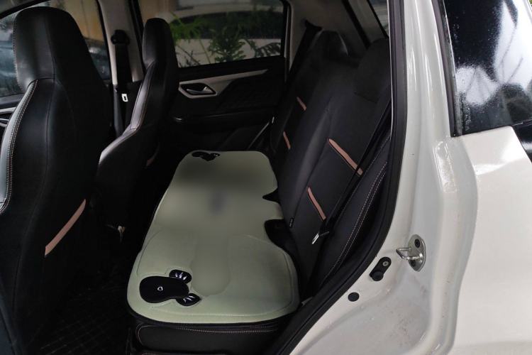 Used SOL E10X 2022 Flower Fairy Design Dandelion