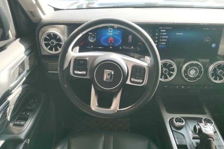 Used Tank 300 2024 2.0T Conqueror
