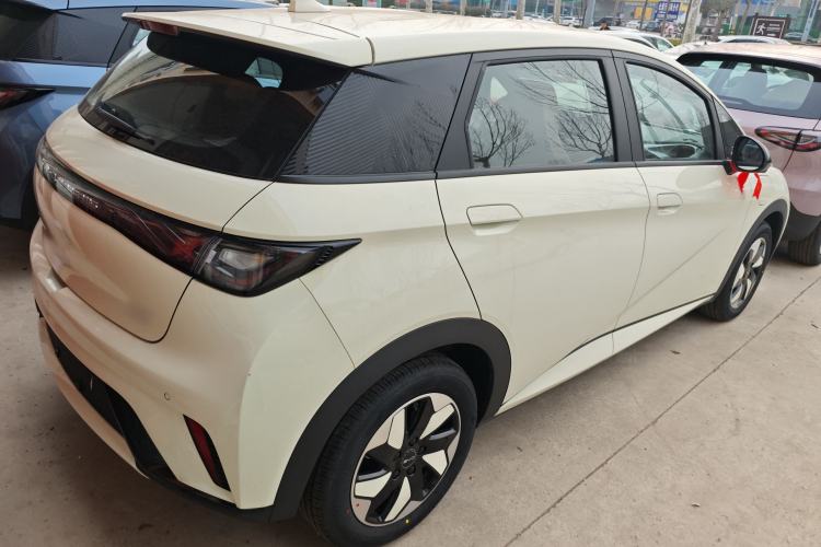 Used BYD Dolphin 2025 420km Free Edition

