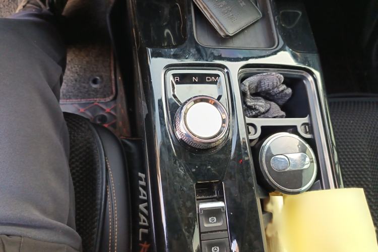 Used Haval DARGO 2021 2.0T DCT 4x4 Chinese Rural Dog Edition