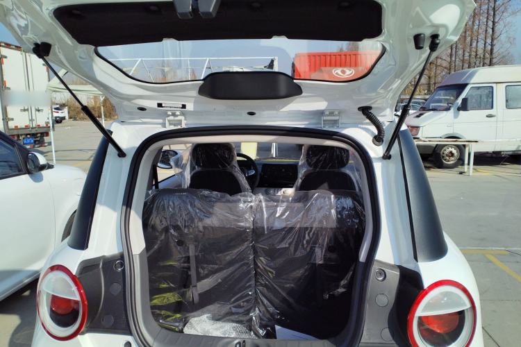 Used Qiyuan Lumin 2025 205 km Xiangqin Version
