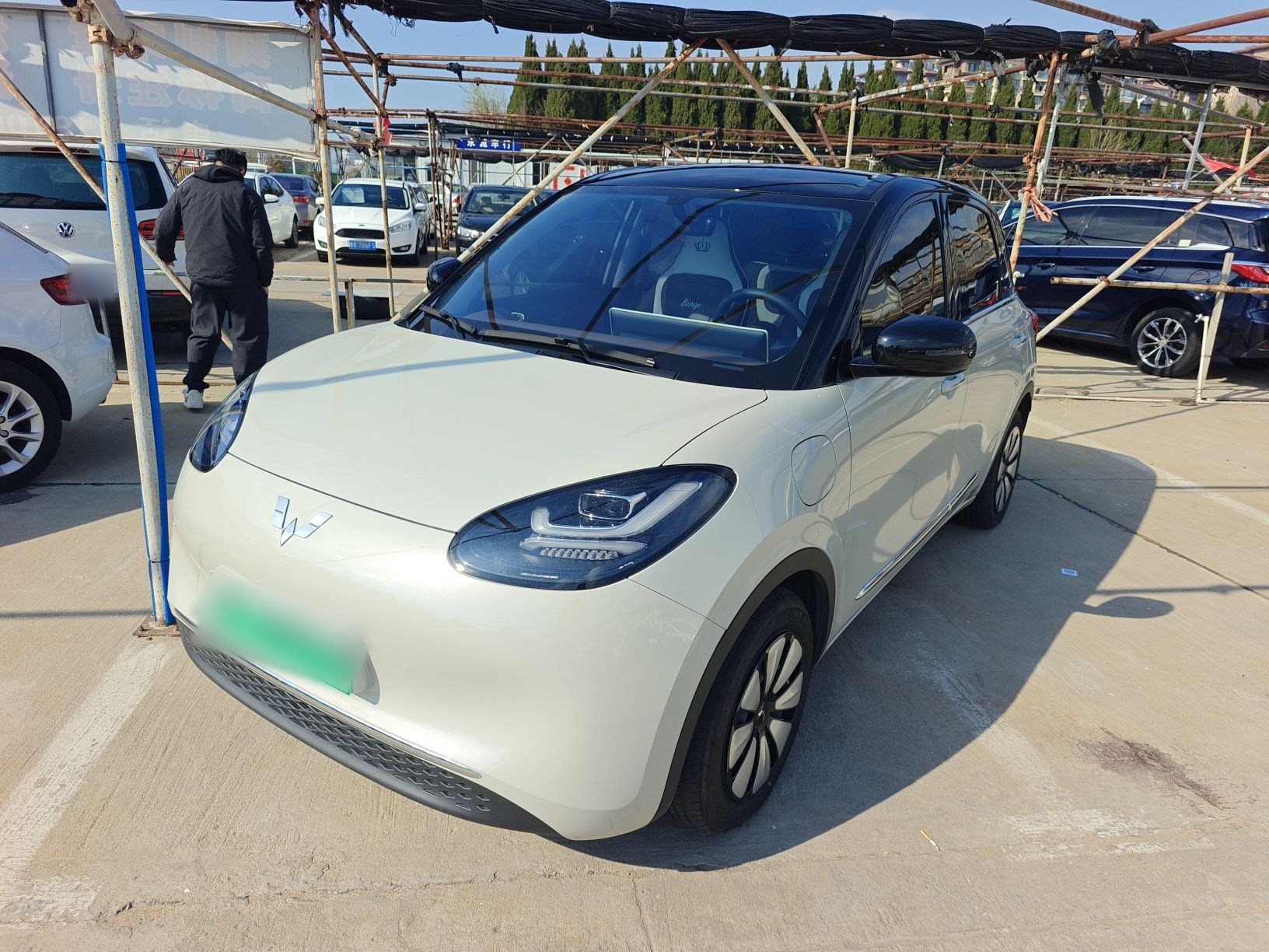 Parte inferior delantera