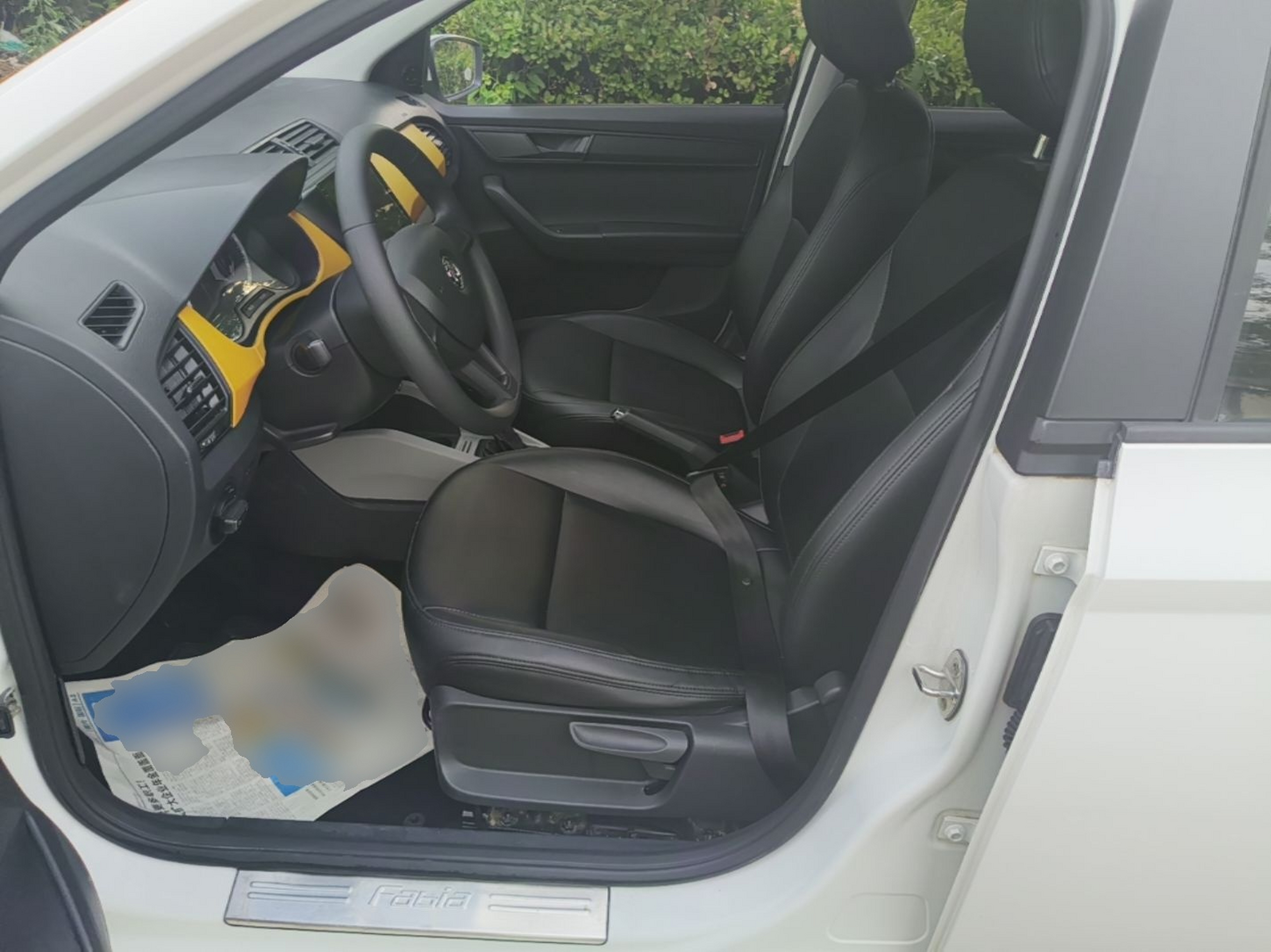Interior delantero