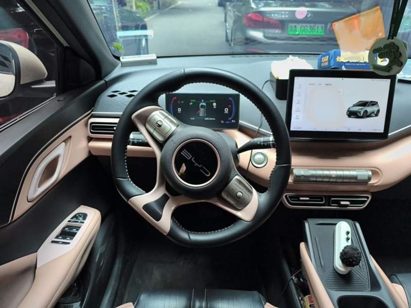 Used BYD Seagull 2023 Flying Edition — 17