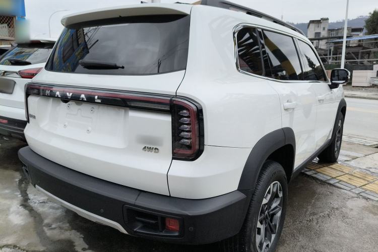 Used Haval DARGO 2024 2.0T DCT Chinese Rural Dog Edition