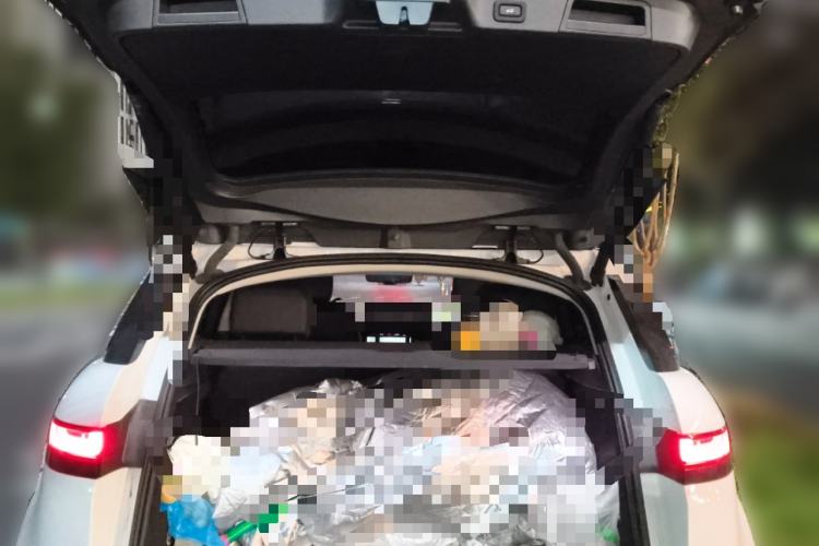 Used Land Rover Range Rover Evoque 2023 Aurora L 249 PS Luxury Edition